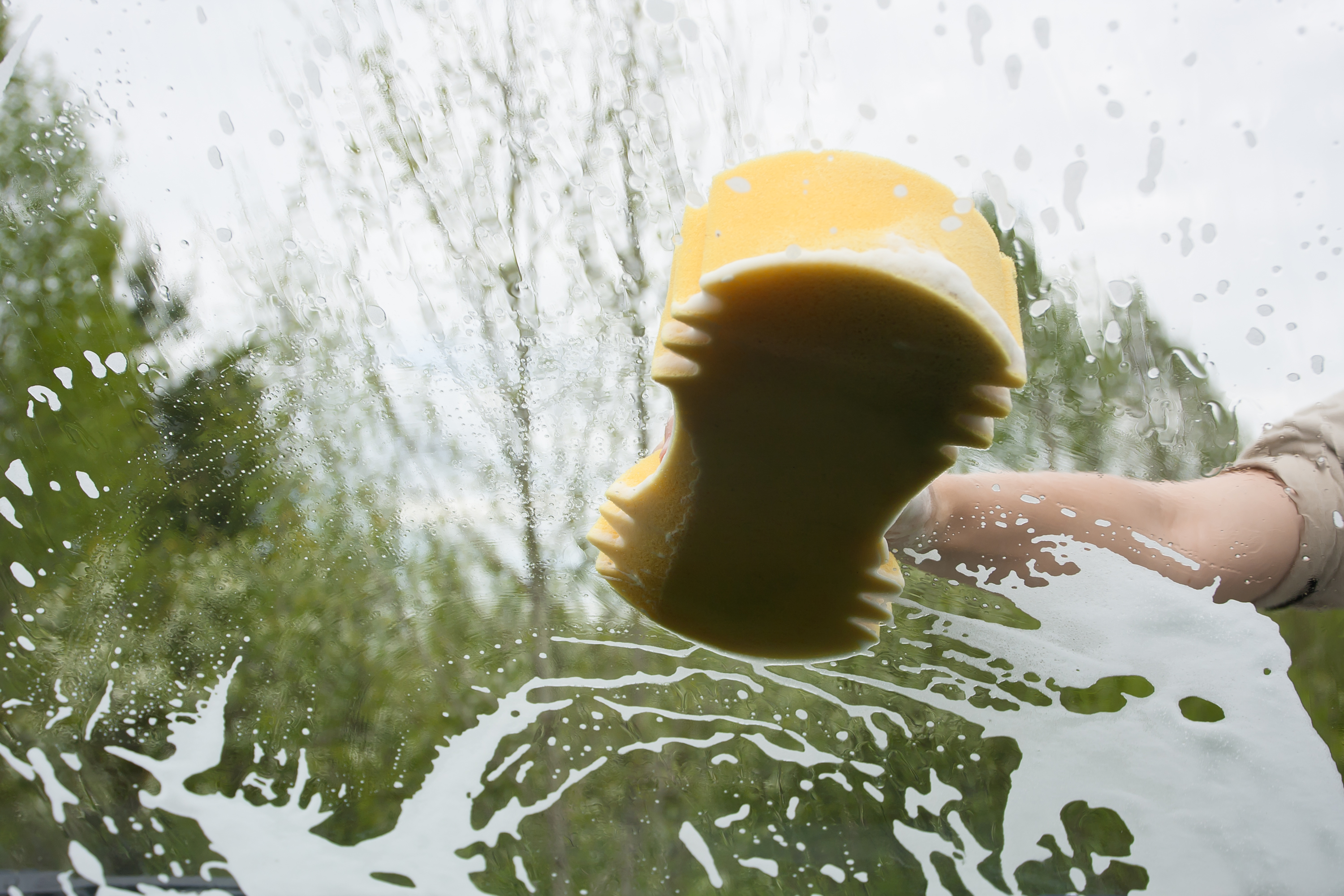 windshield leak