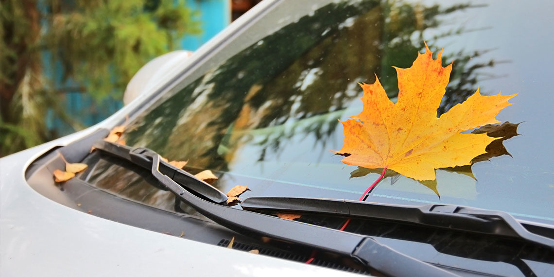 Windshield Wipers