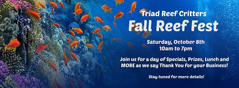 Greensboro Triad Reef Critters Fall Fest