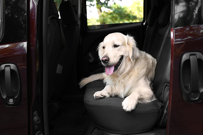 Car Organization Hacks Dog Seat Cover