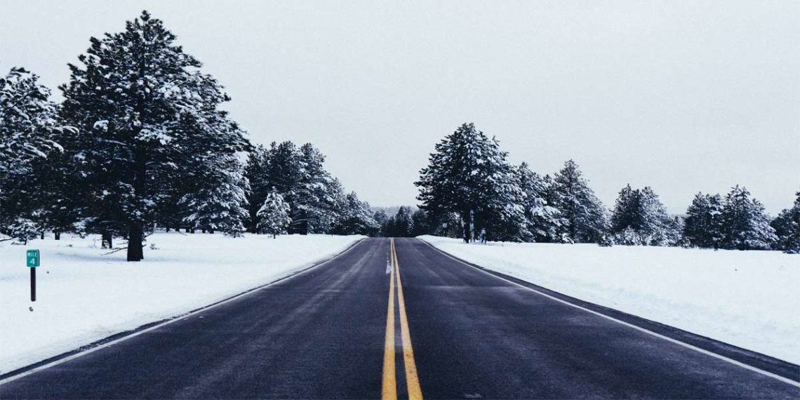 open road surrounded by snow and trees