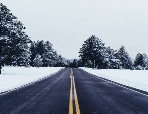 open road surrounded by snow and trees